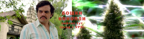 молекула духа Баксан