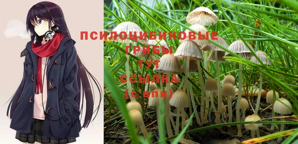 молекула духа Баксан
