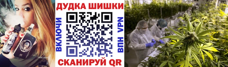 цена наркотик  Голицыно  Канабис сатива 